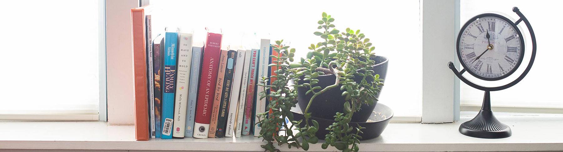Books, Succulent and Clock on a Shelf