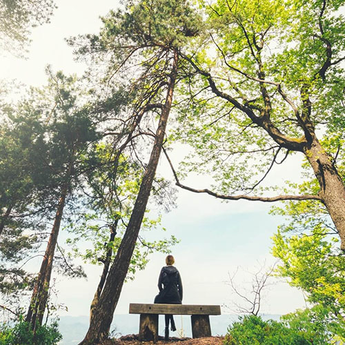 person sits on a bench in the forest overlooking the ocean