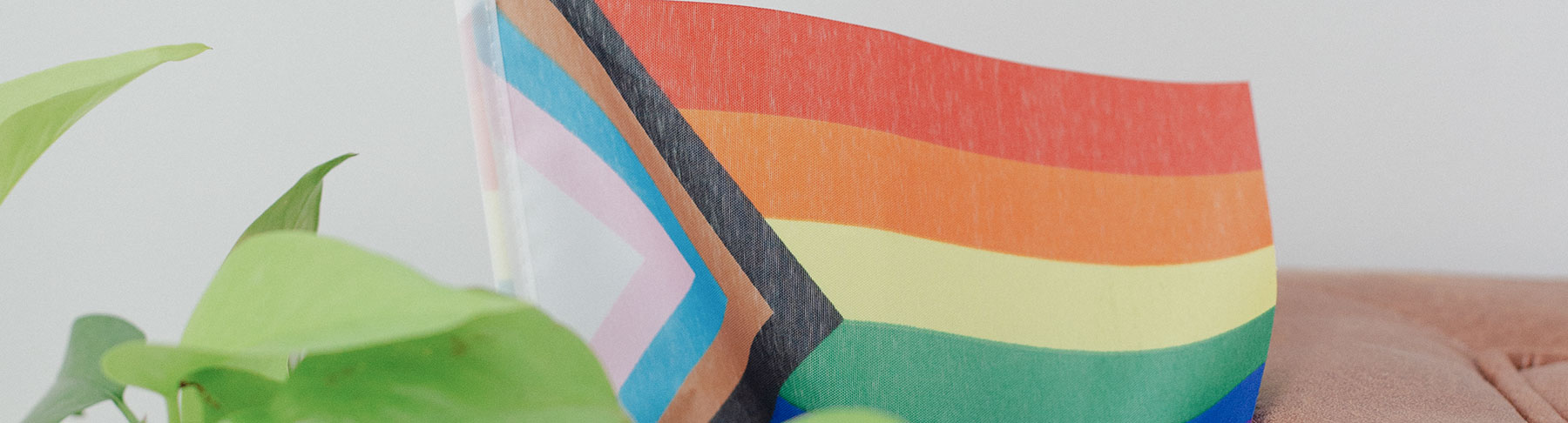 Progress Pride Flag within Andersonville Mindfulness & Psychology's office space