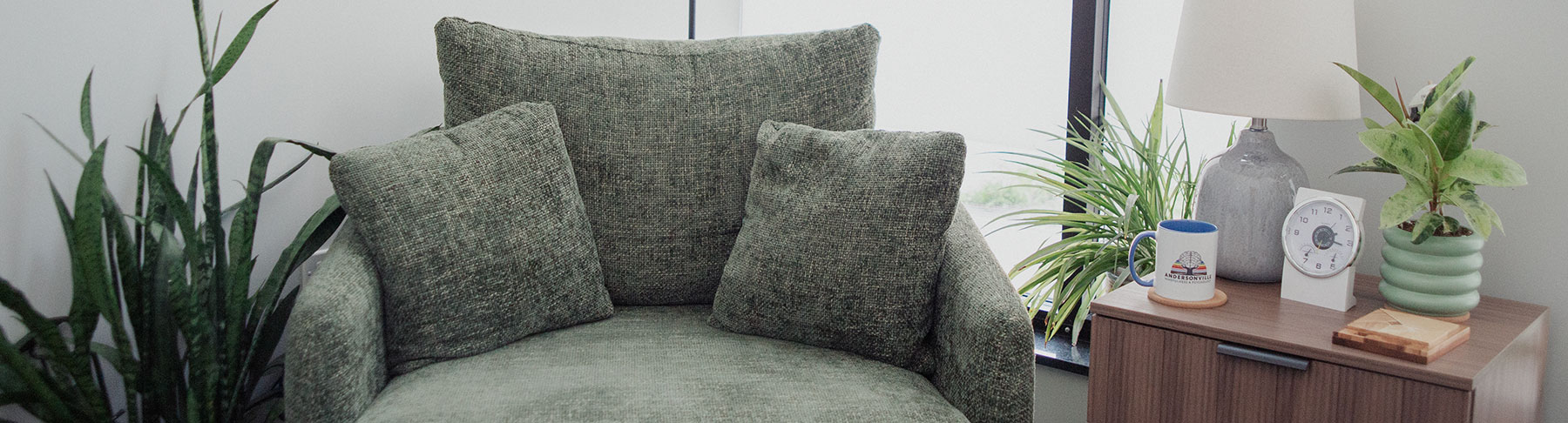 View of an Andersonville Mindfulness and Psychology Therapy Room