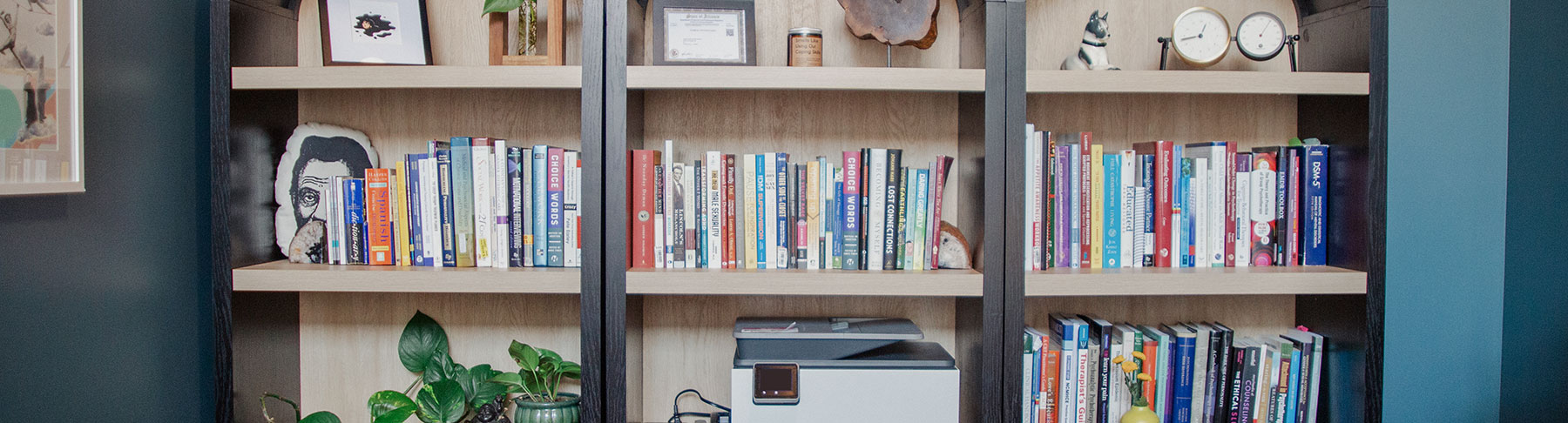 Bookshelves in the Andersonville Mindfulness & Psychology office space
