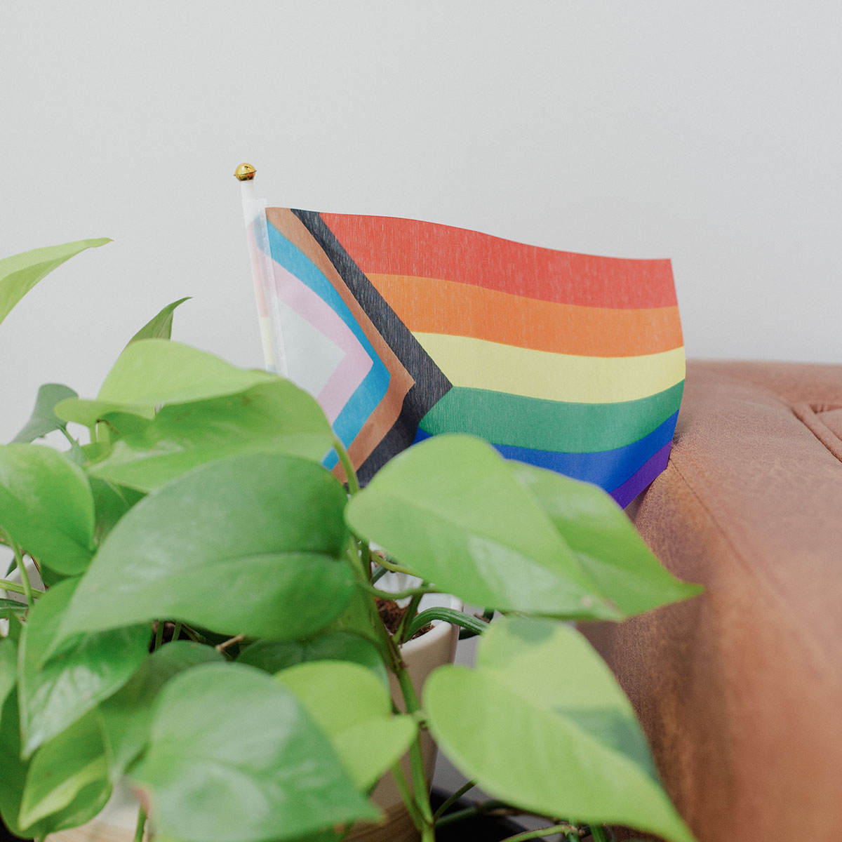 Progress Pride Flag within Andersonville Mindfulness & Psychology's office space