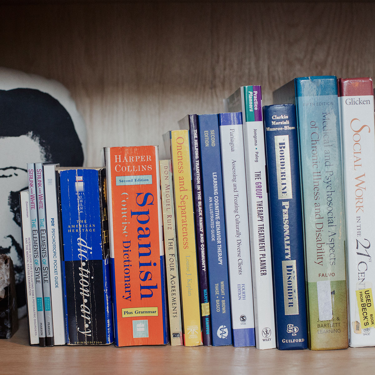 Bookshelves in the Andersonville Mindfulness & Psychology office space